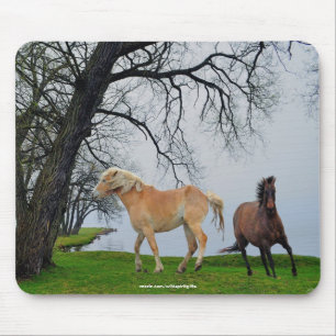 Hästar som spelas av Sjö Animal Art Mousepad Musmatta