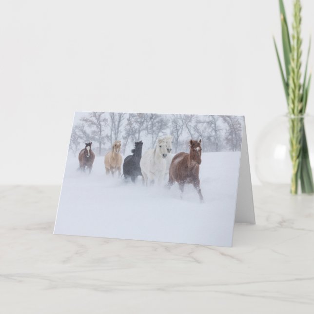 Hästar som springer genom snön kort (Framsida)