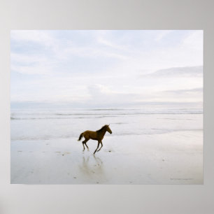 Hästar som springer på stranden poster