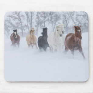 Hästar springer genom snön musmatta