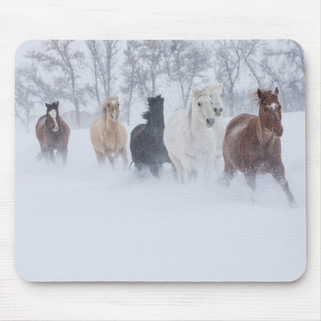Hästar springer genom snön musmatta (Framsidan)