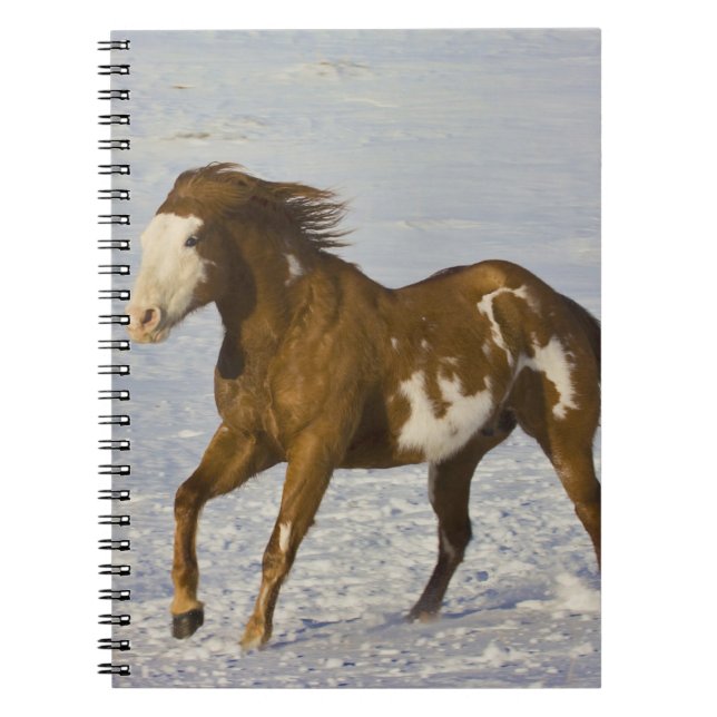 Hästar springer i snö anteckningsbok med spiral (Framsidan)