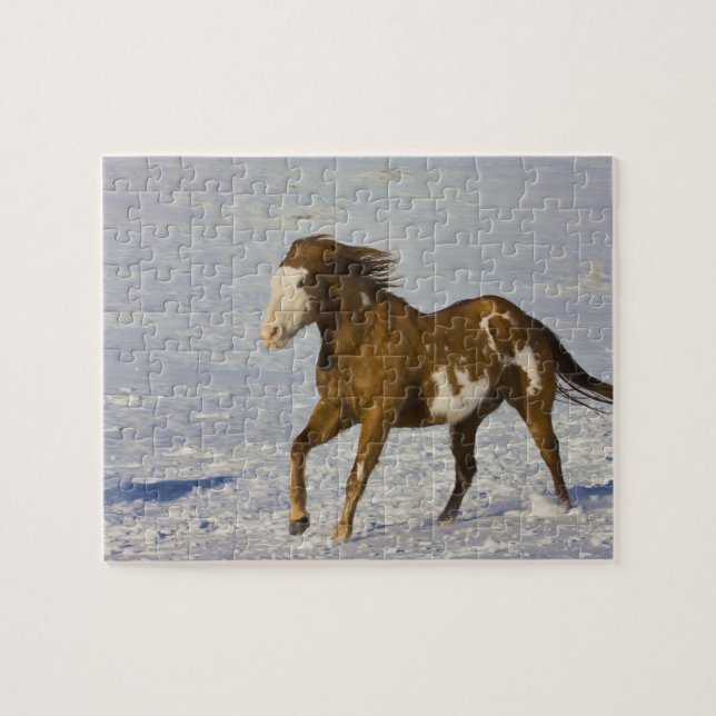 Hästar springer i snö pussel (Horisontell)
