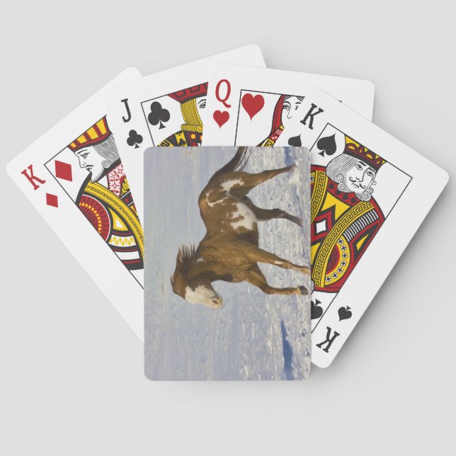 Hästar springer i snö spel kort (Baksidan)