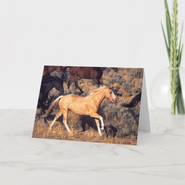 Hästar springer på en Ponderosa Ranch Kort (Framsida)
