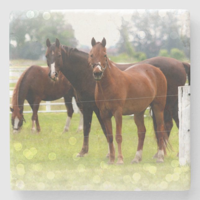 Hästar Stenunderlägg (Framsidan)