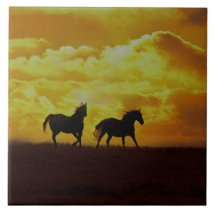 Hästar Sunrise Art Tile Kakelplatta