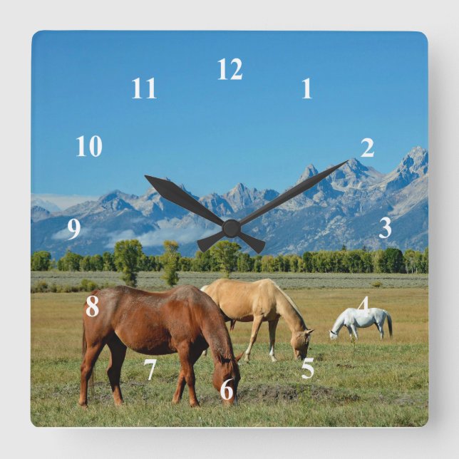 Hästar Teton Mountains Ligcape Photo Fyrkantig Klocka (Framsida)