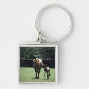 Hästar - Thoroughbred, Mare och föl, Fyrkantig Silverfärgad Nyckelring