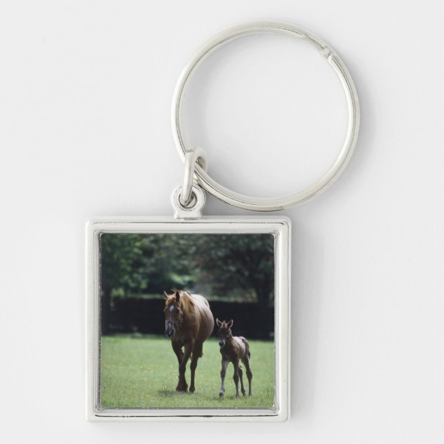 Hästar - Thoroughbred, Mare och föl, Fyrkantig Silverfärgad Nyckelring (Framsidan)