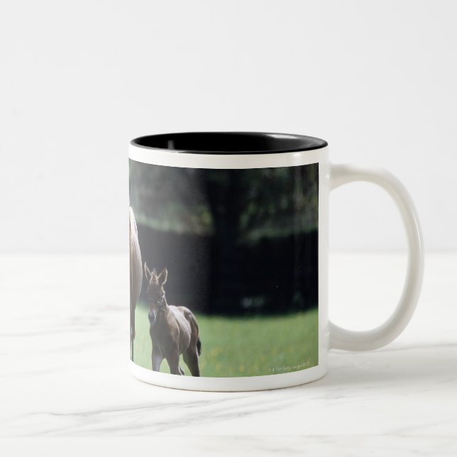 Hästar - Thoroughbred, Mare och föl, Två-Tonad Mugg (Höger)