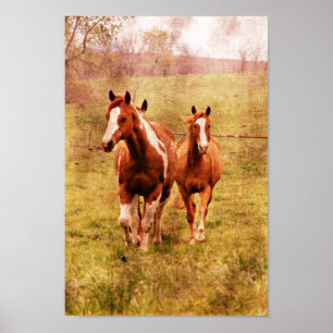 Hästar Trotting Poster