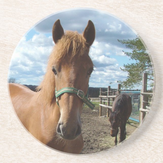 Hästar underlägg (Framsidan)