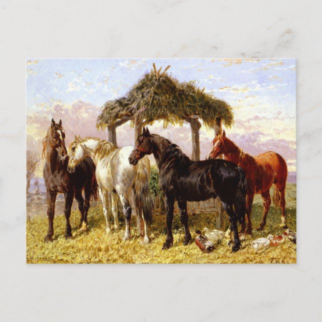 Hästar vid en flod runt 1800-talet vykort (Framsida)