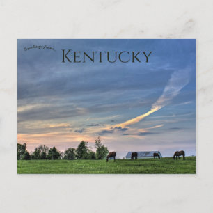 Hästar vid Sunset i Lexington Kentucky Vykort