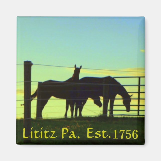 Hästar vid Sunset i Lititz Pa. Magnet (Framsidan)