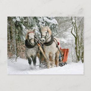 Hästar Vinter Carriage Slide Postcross Vykort