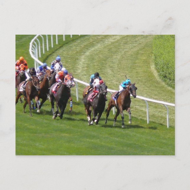 Hästar Vykort (Framsida)