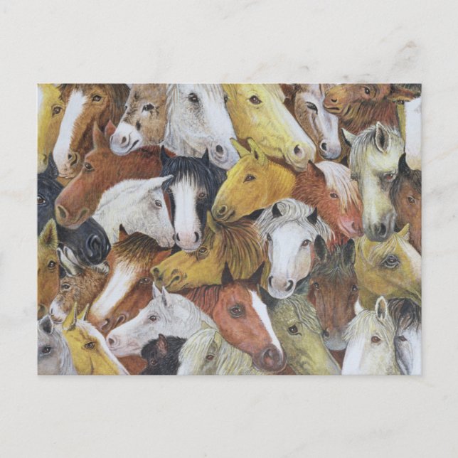 Hästar Vykort (Framsida)