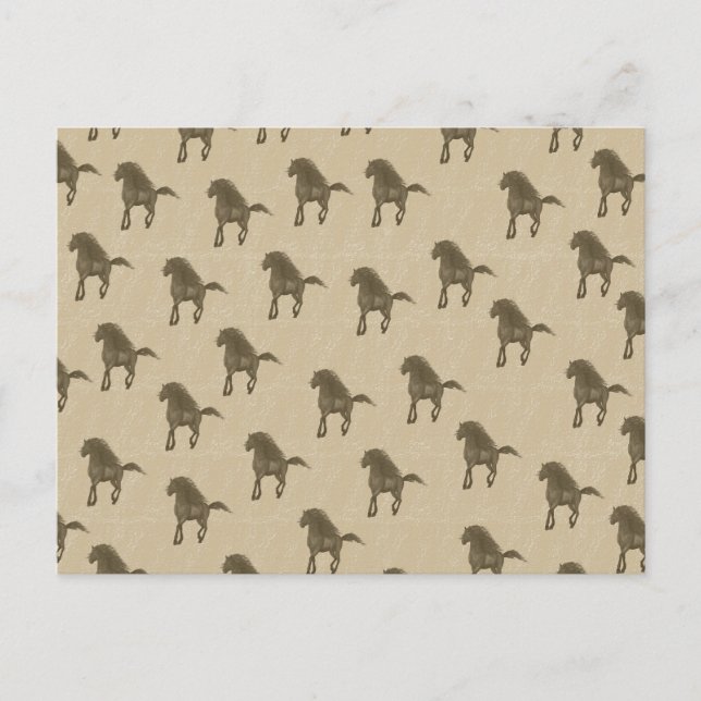 Hästar Vykort (Framsida)