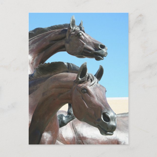 Hästar Vykort (Framsida)