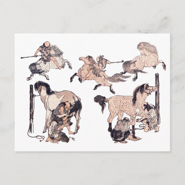 HästarBrown Vykort (Framsida)