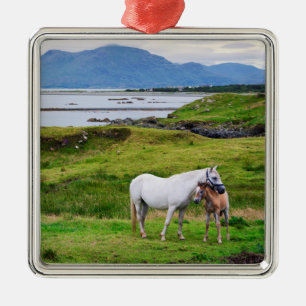 Hästarna av Connemara   Galway, Irland Julgransprydnad Metall