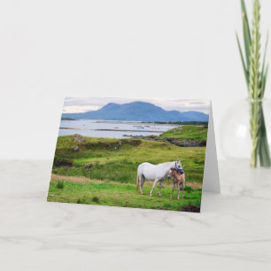 Hästarna av Connemara Galway, Irland Kort