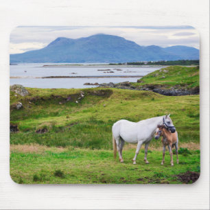 Hästarna av Connemara   Galway, Irland Musmatta