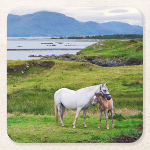 Hästarna av Connemara   Galway, Irland Underlägg Papper Kvadrat