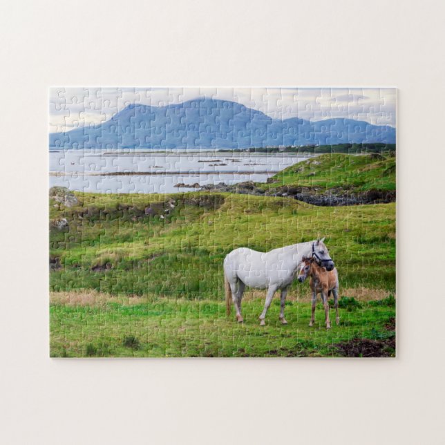 Hästarna från Connemara | Galway, Irland Pussel (Horisontell)