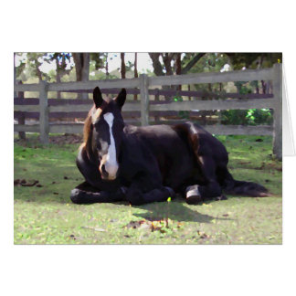 Hästars Nap-tid Hälsningskort