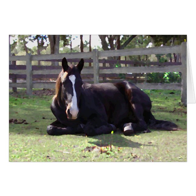 Hästars Nap-tid Hälsningskort (Framsidan Horizontal)