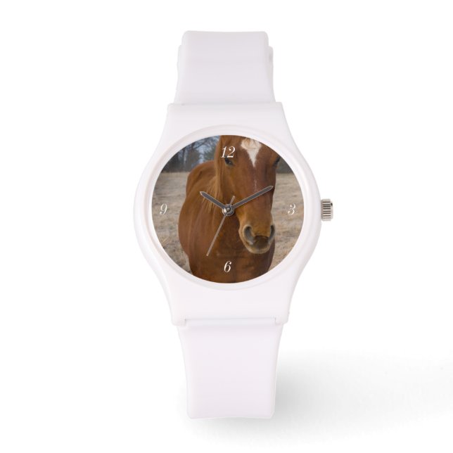 Hästavfall Armbandsur (Framsida)