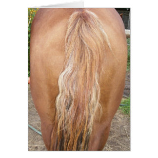 Hästbaksida Hälsningskort