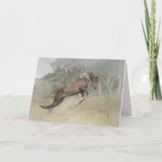 Hästbanhoppning Kort