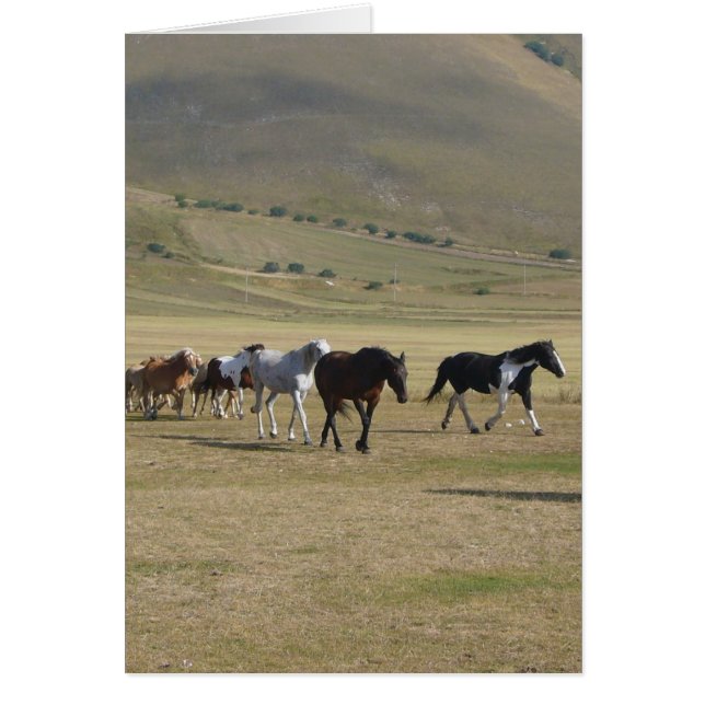 Hästbesättning Hälsningskort (Framsidan)