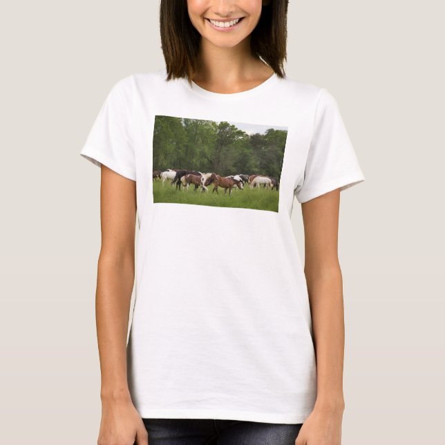 Hästbesättning, Tennessee Tee Shirt (Framsida)