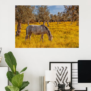 Hästbete i gula blommor fototryck