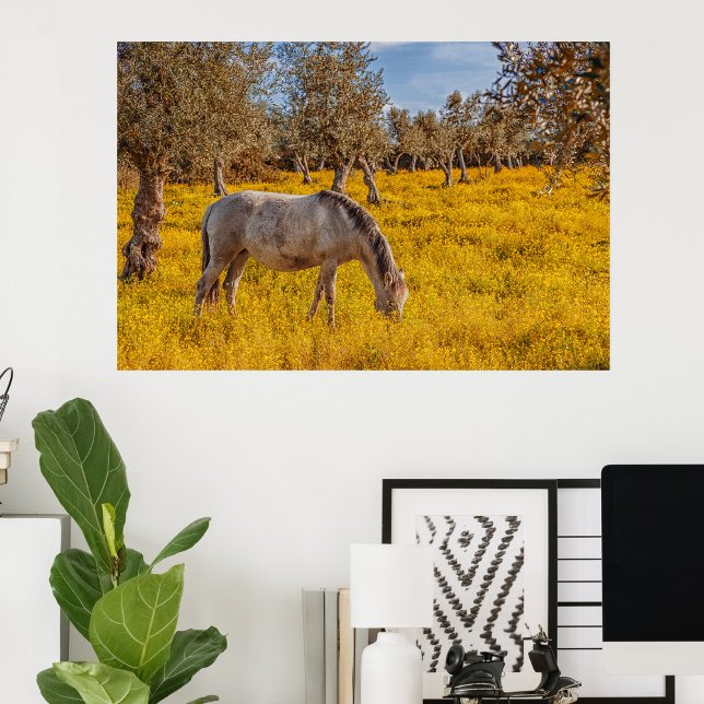 Hästbete i gula blommor fototryck (Skapare uppladdad)