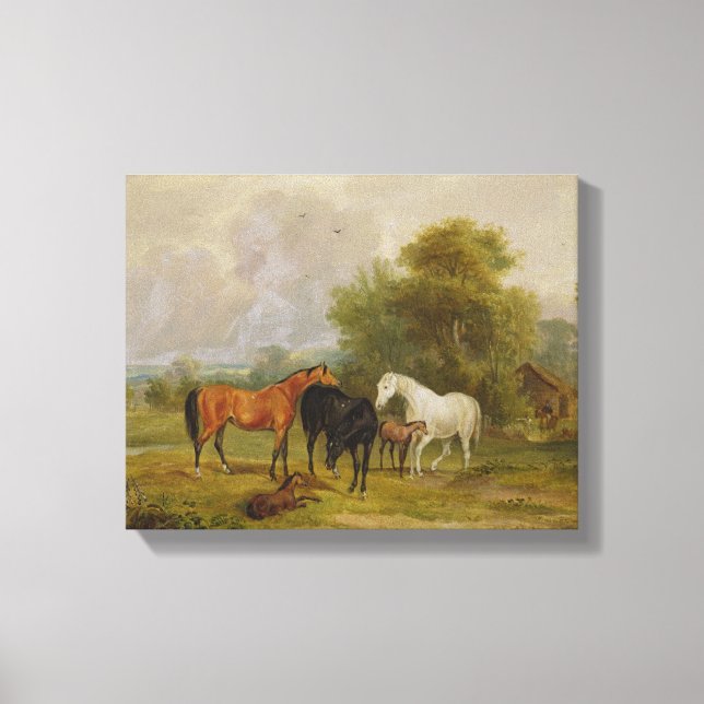 Hästbete: Mares and Foals in a Fält (oil on on Canvastryck (Framsida)