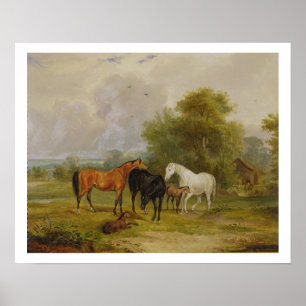 Hästbete: Mares and Foals in a Fält (oil on on Poster