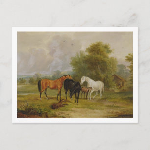 Hästbete: Mares and Foals in a Fält (oil on on Vykort