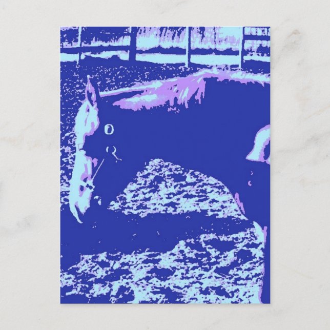 Hästbetes Popkonst Vykort (Framsida)