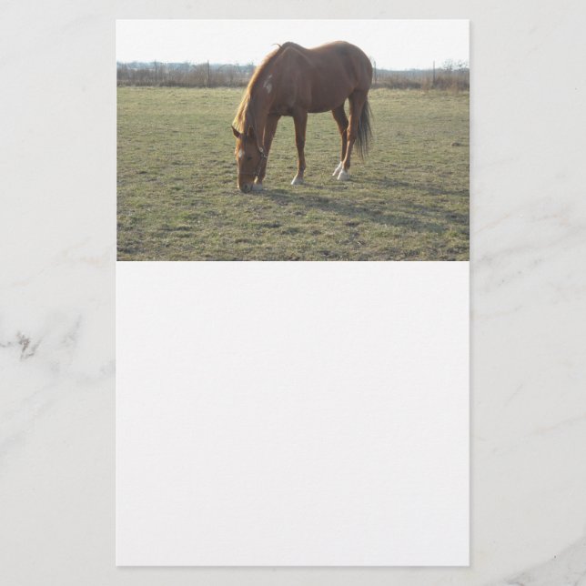 Hästbetning Brevpapper (Framsida)
