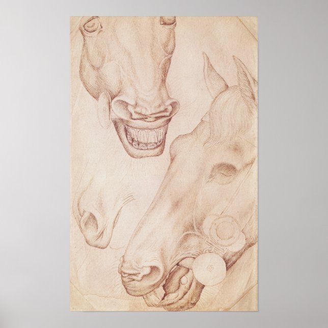 Hästchefer, från Vallardi Album Poster (Framsidan)