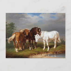 Hästcirca 1864 vykort
