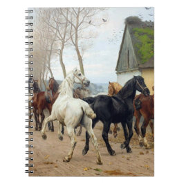 Hästcirca 1878 anteckningsbok
