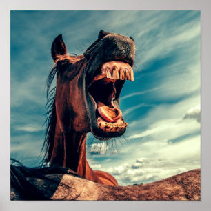 Hästdjur för muntänder Neigh Vild Horse Animal Poster