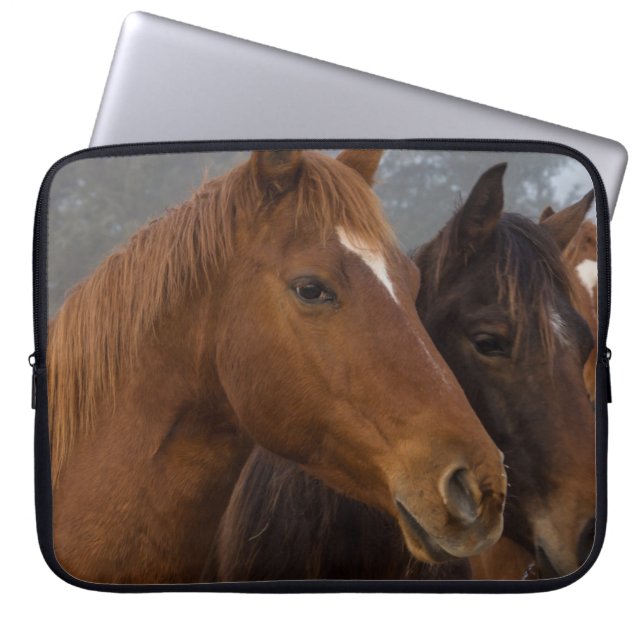Hästdjur Laptop Fodral (Framsidan)